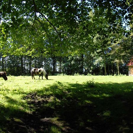 Hof Olde Warft Leilighet Oldenswort Eksteriør bilde