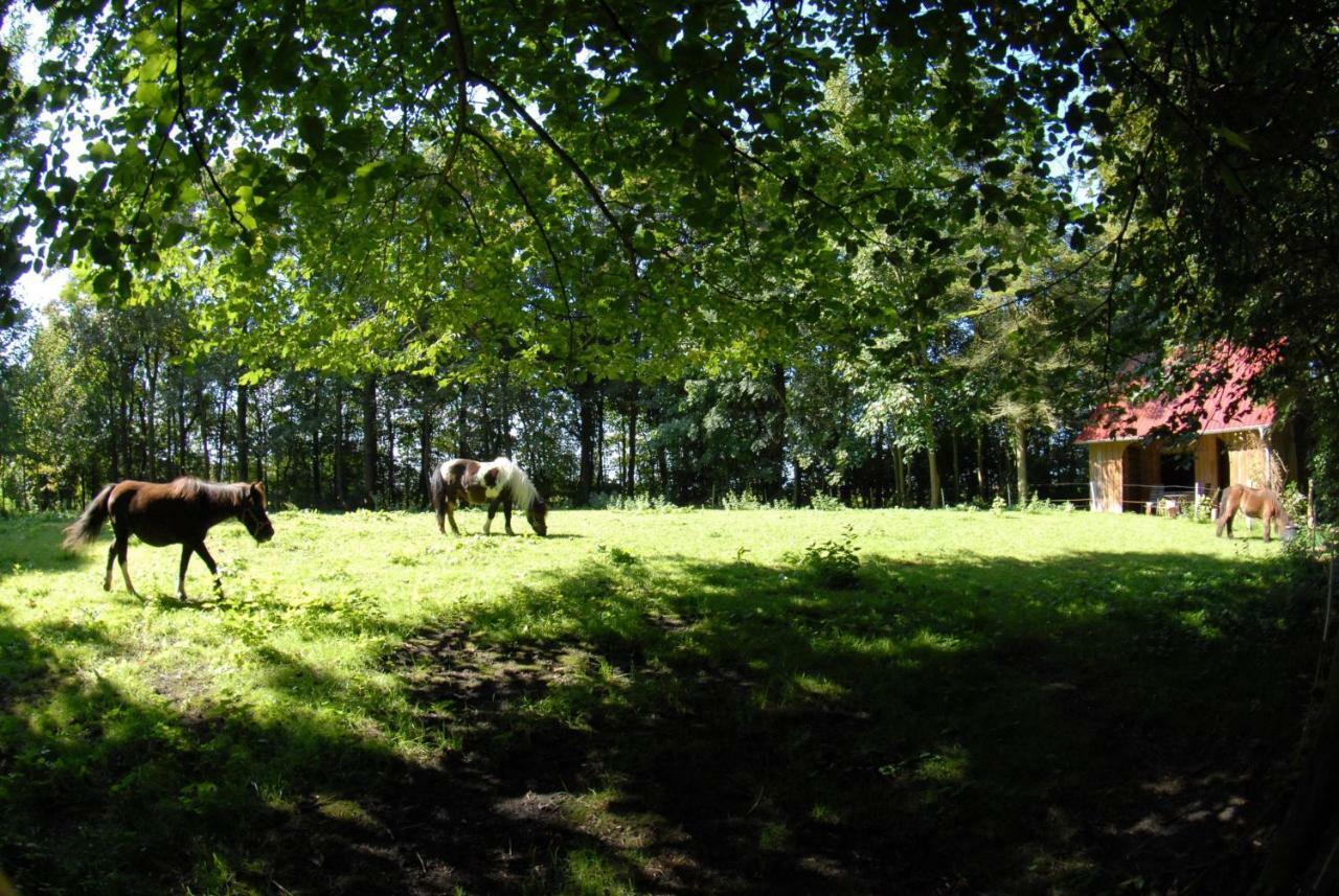 Hof Olde Warft Leilighet Oldenswort Eksteriør bilde